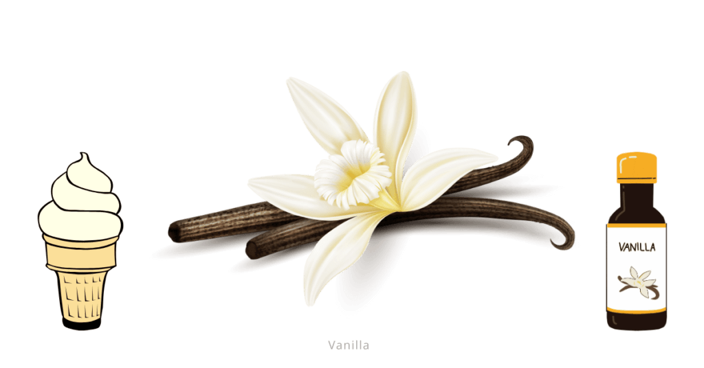 Vanilla